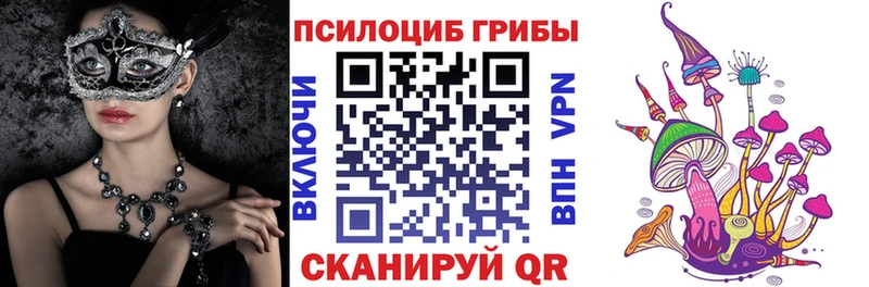 Галлюциногенные грибы Psilocybe  где купить наркоту  Старая Купавна 