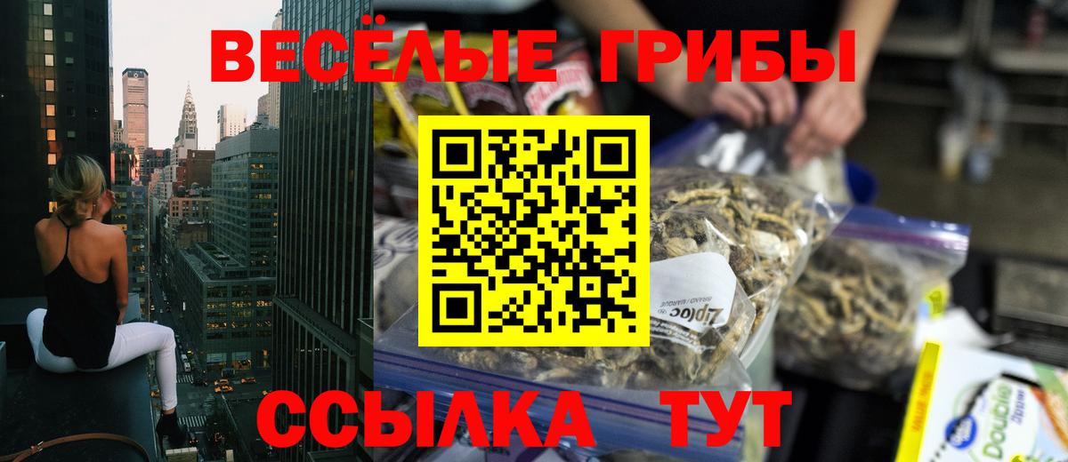 Старая Купавна  как найти закладки  Вход с VPN  Галлюциногенные грибы мухоморы 