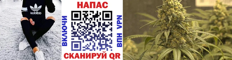 мега зеркало  закладки  Старая Купавна  Каннабис сатива 